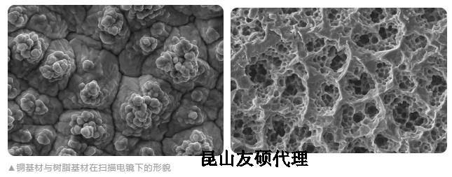 鸡西蔡司鸡西扫描电镜